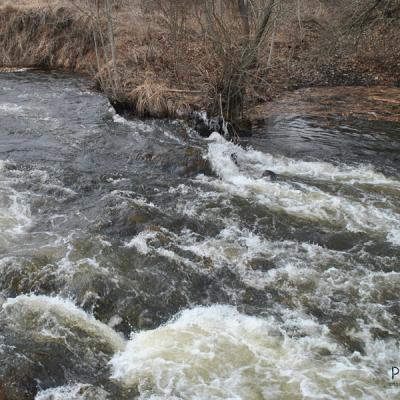В поисках воды