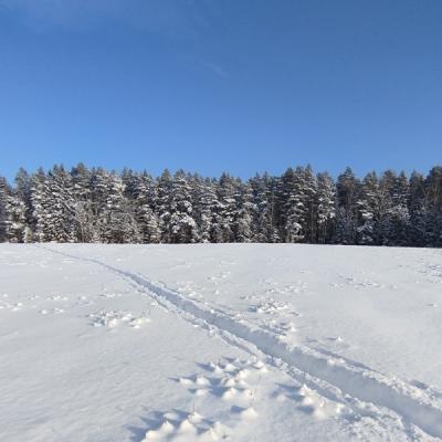 Skicross13