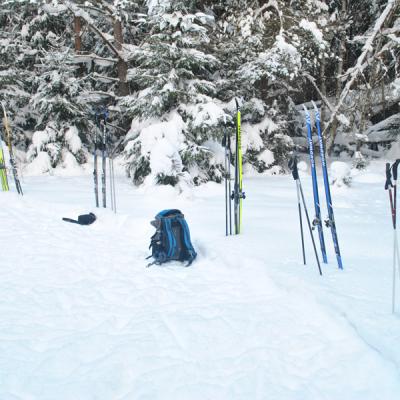 Skicross18